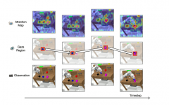 <b>两个深度相机（别离做为基座视角和手部视角）</b>